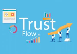 trust flow là gì