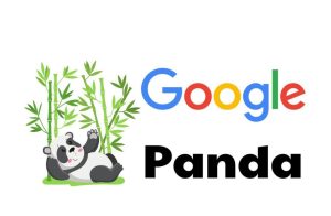 Google Panda Là Gì