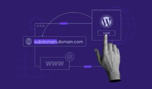 Subdomain là gì