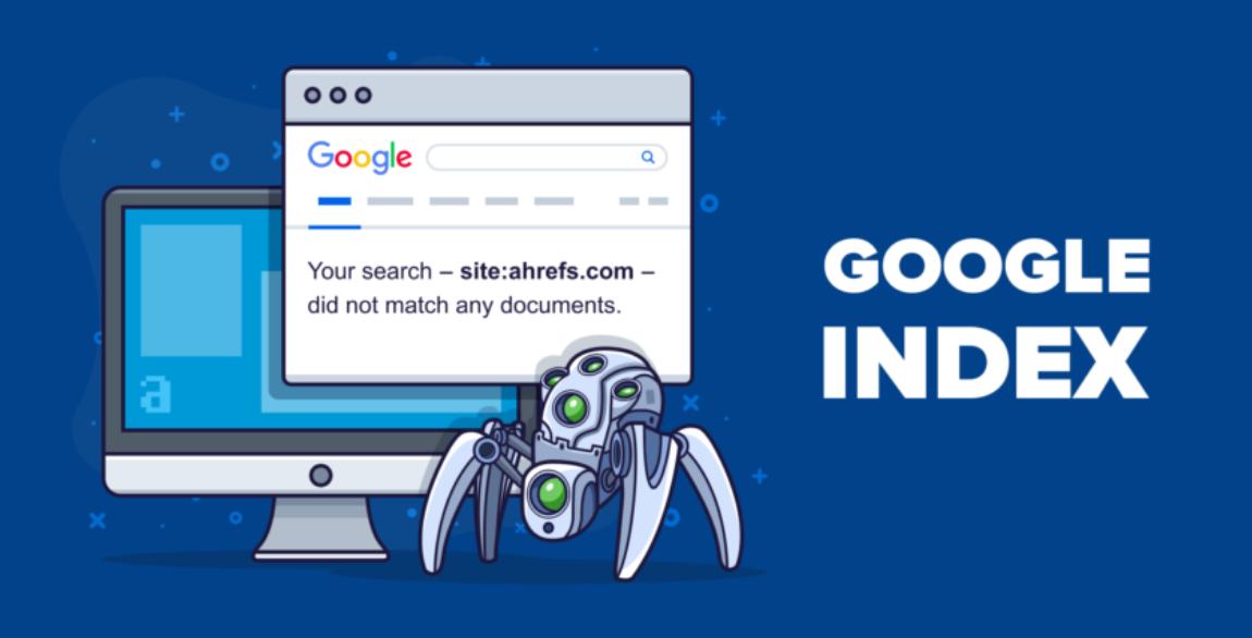 Cách kiểm tra Google đã crawl website hay chưa